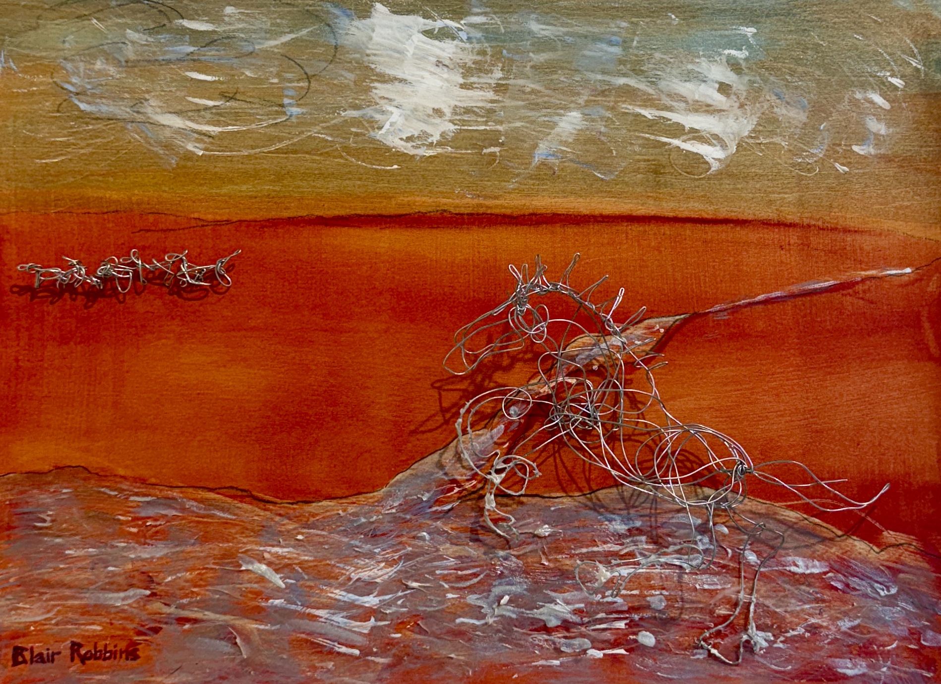"FREEDOMS SOLITUDE" by Blair Robbins