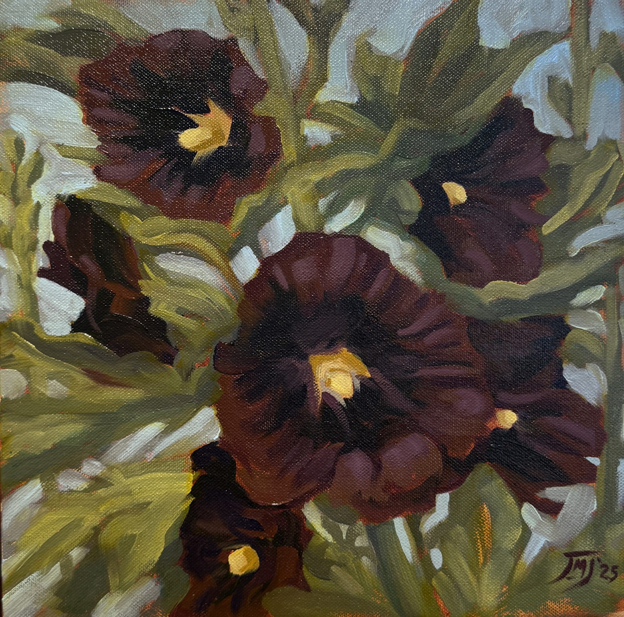 BLACK HOLLYHOCKS - BY JIM JENNINGS