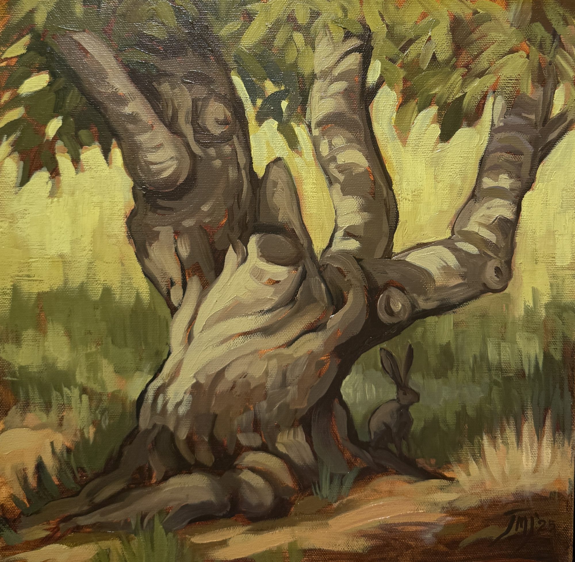 A SHADY SPOT - By Jim Jennings