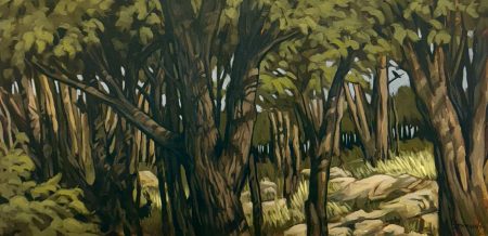 A CLEARING - By Jim Jennings