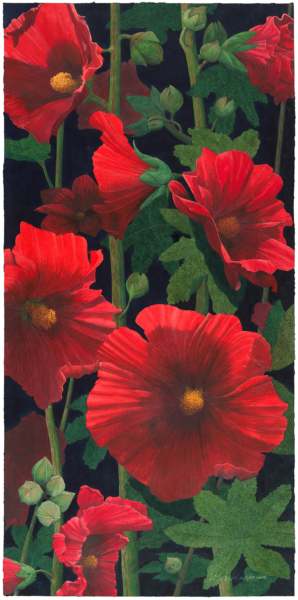 "RED HOLLYHOCKS" - By Lynn McLain