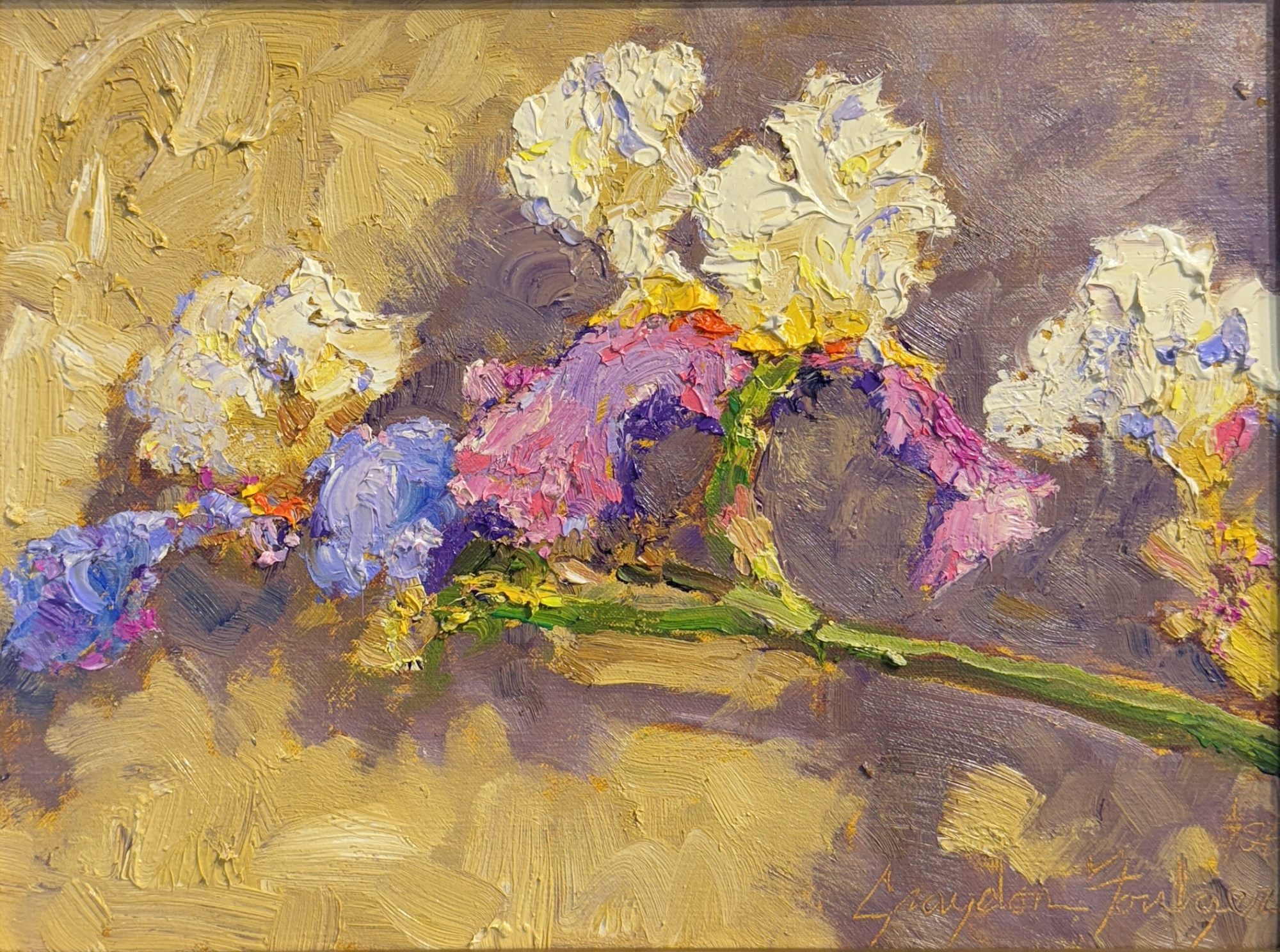 "IRIS DELIGHT" - BY GRAYDON FOULGER