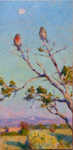 MORNING NOON - BY GREGORY FRANK HARRIS