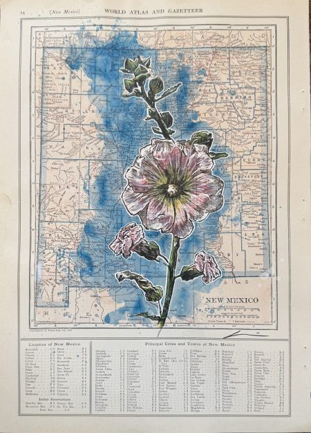 PINK NEW MEXICO BY J. DYLAN CAVIN
