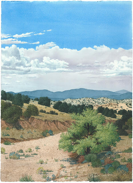 "HIGH DESERT SKY" - BY LYNN MCLAIN
