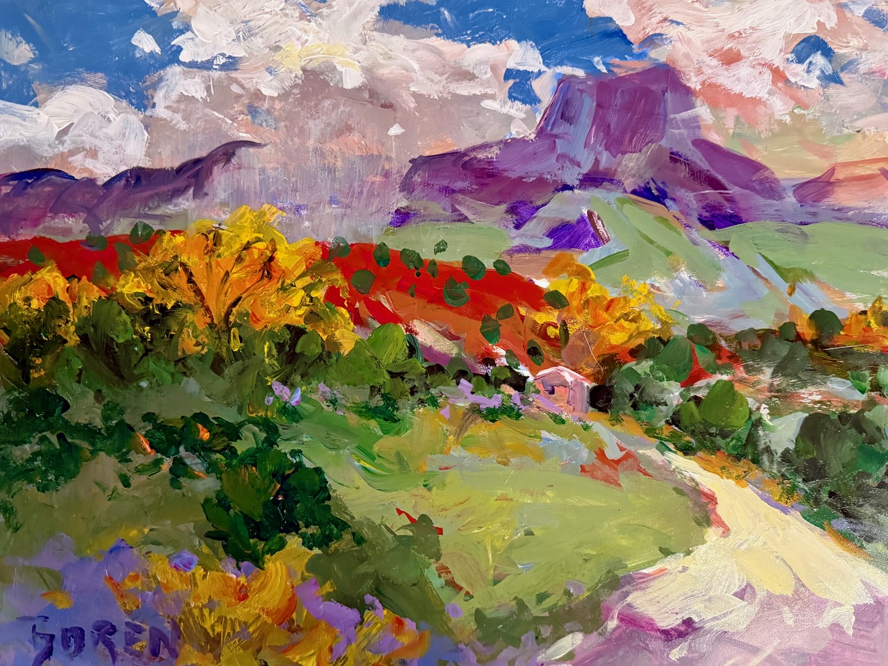"COLORS GHOST RANCH" - By Evelyne Boren