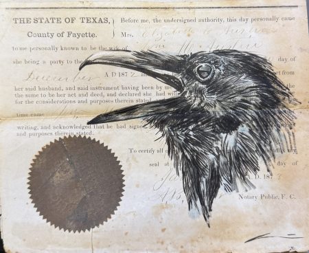 BLACK BIRD OF TEXAS BY J. DYLAN CAVIN