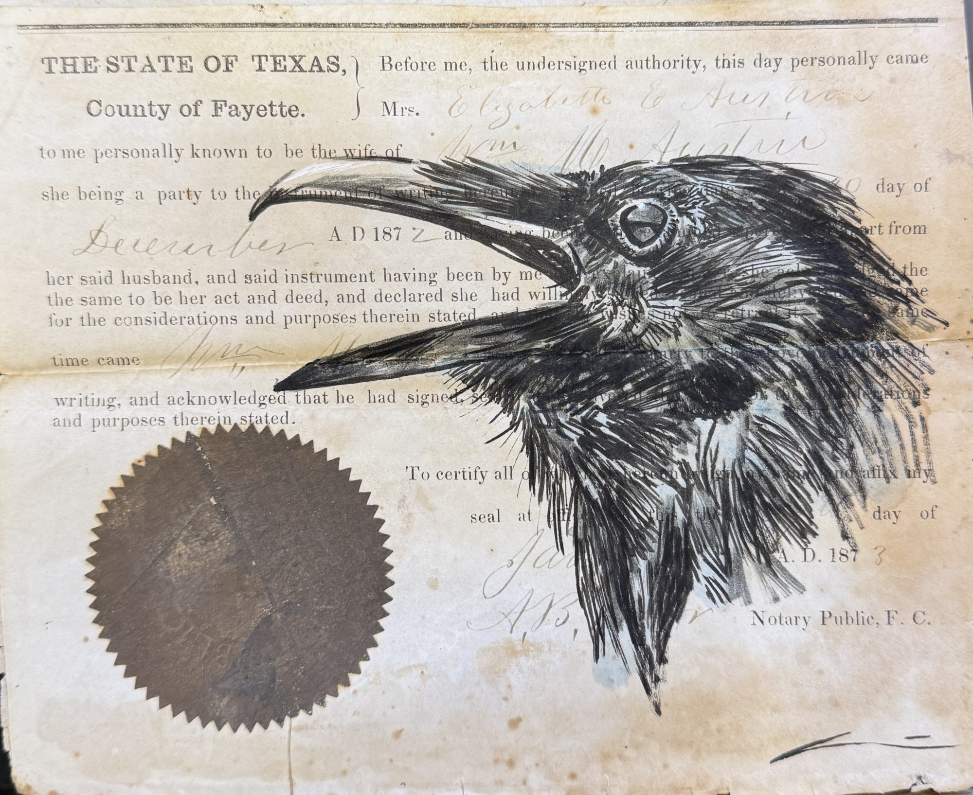 BLACK BIRD OF TEXAS BY J. DYLAN CAVIN