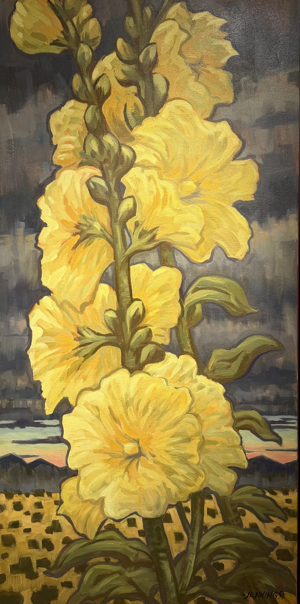 MALVARROASAS AMARILLAS GRANDES - BY JIM JENNINGS