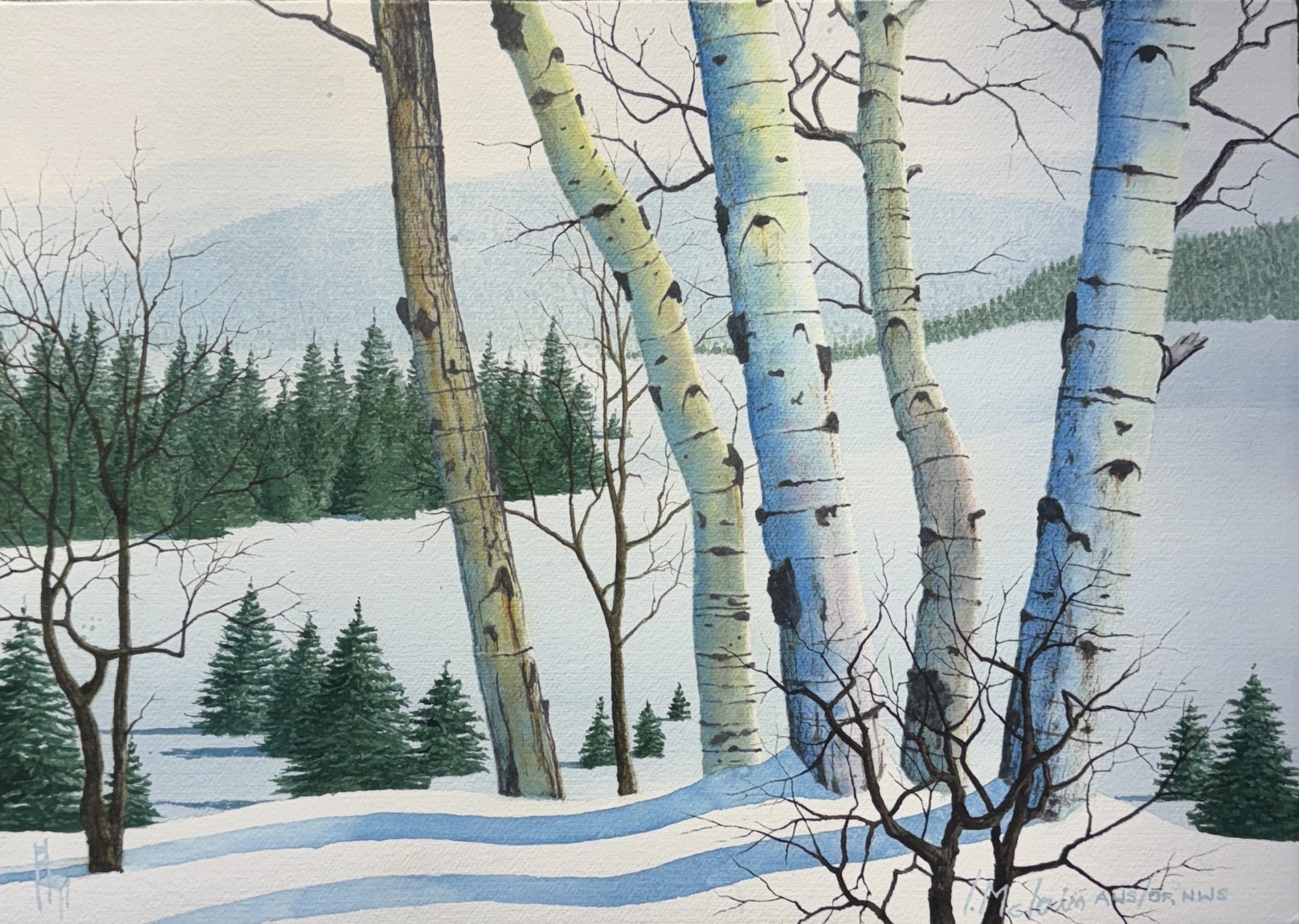 “TIS THE SEASON” - LYNN MCLAIN