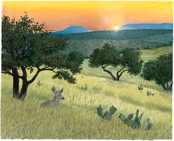 "EVENING IN HILL COUNTRY" - By Lynn McLain