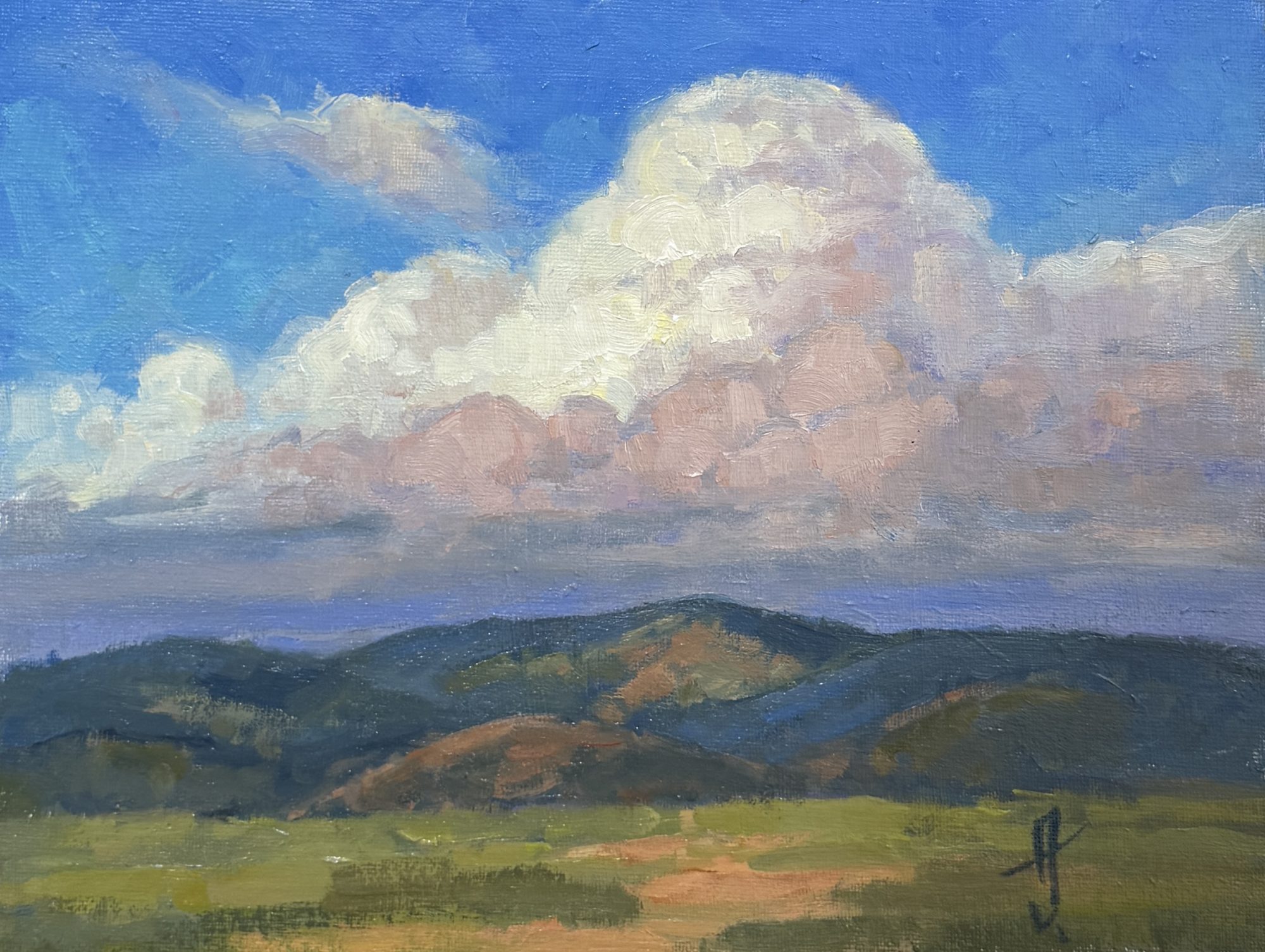 HOME VIEW  - BY ANN JENEMANN