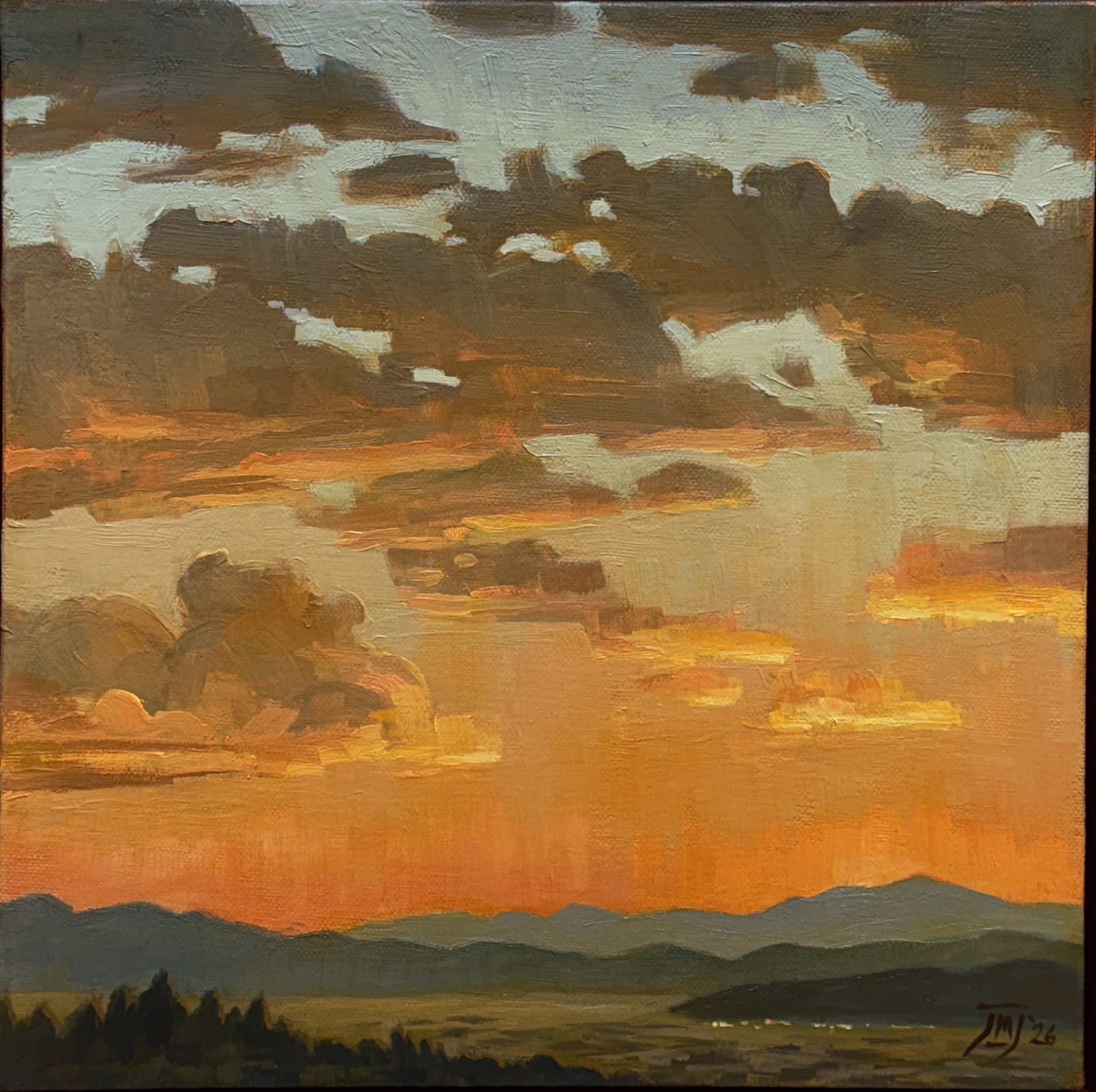 IMG_6098 LUMINOSITY (STUDY) - BY JIM JENNINGS