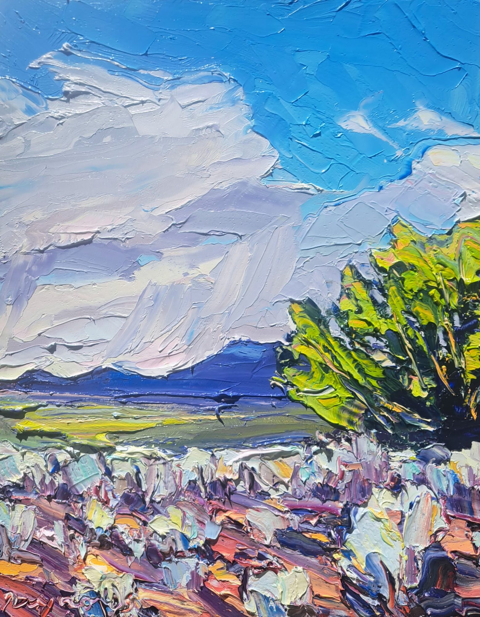 "WIND AND CLOUD" - By Robert Reynolds