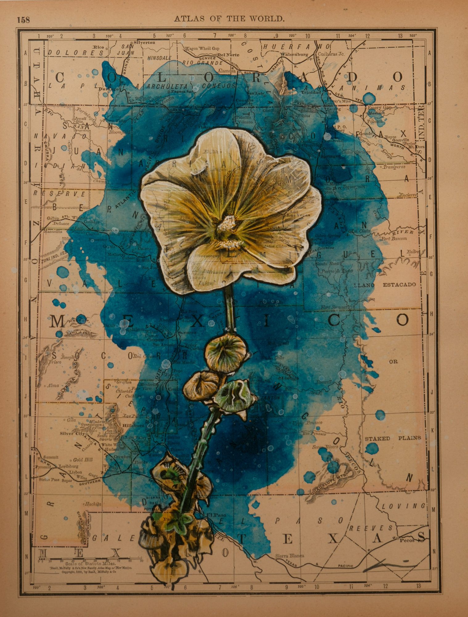 "DRAWN IN FLOWERS" BY J. DYLAN CAVIN