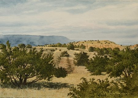 "HIGH DESERT COMFORT" - By Lynn McLain