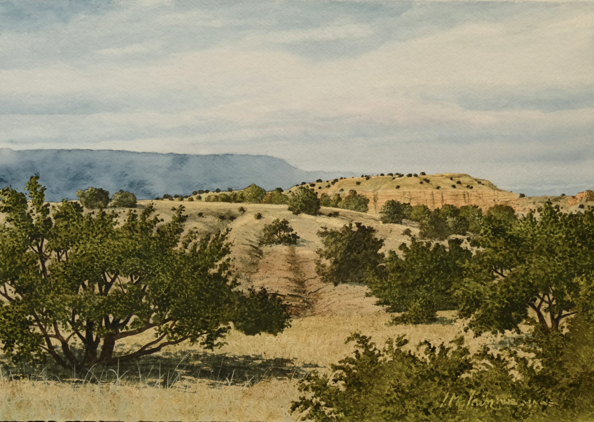 “HIGH DESERT COMFORT” – By Lynn McLain
