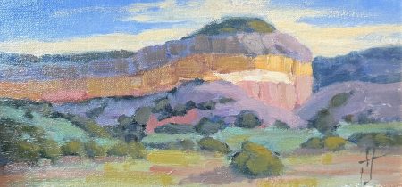SUMMER MESA  - BY ANN JENEMANN