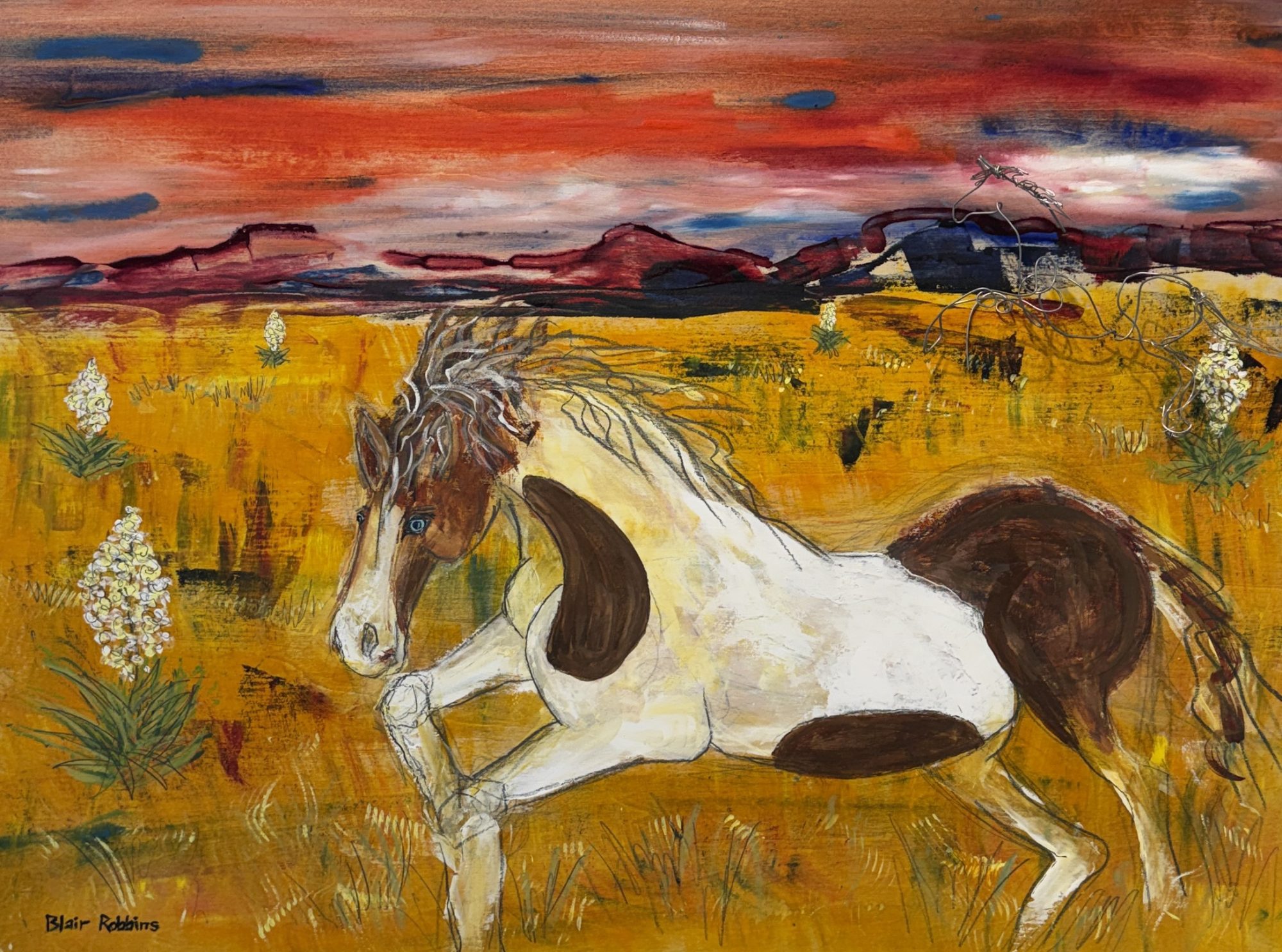 “AZURE-EYED STALLION” BY BLAIR ROBBINS