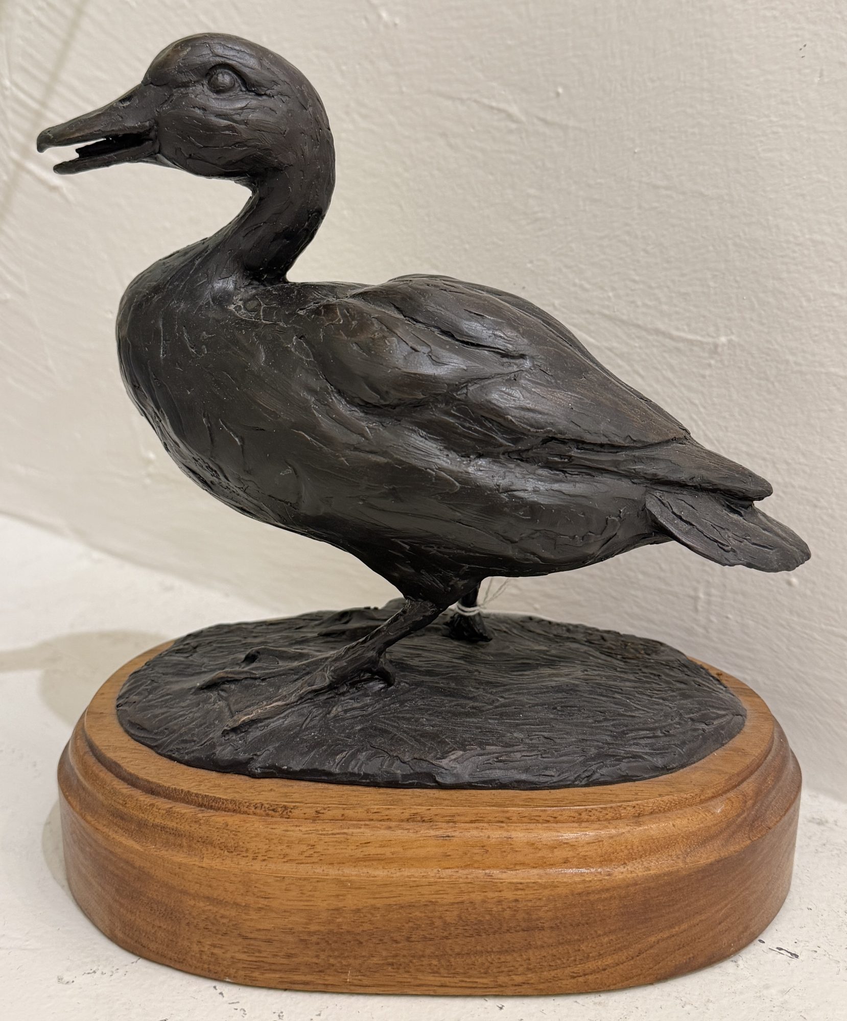 MALARD by Douglas Clark