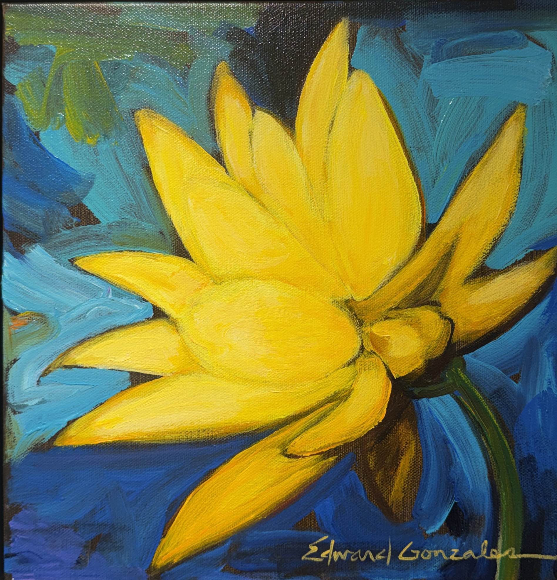 "SHINING LOTUS" - By Edward Gonzales