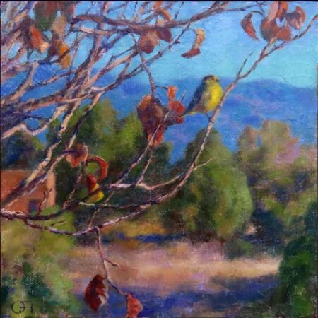 "Amarillo (Lesser Goldfinch)" - By Gregory Frank Harris
